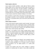 Konspekts 'Pagaidu aizsardzības pret vardarbību tiesiskais regulējums Latvijas Republikā', 17.