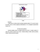 Referāts 'Subsīdiju izlietojuma lauksaimniecībā statistiskā analīze', 7.