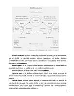 Konspekts 'Konflikti', 3.