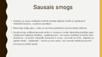 Prezentācija 'Oksīdu jeb smoga nelabvēlīgā ietekme uz vidi', 6.