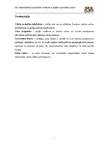 Referāts 'Ielu infrastruktūras pieejamības cilvēkiem ar īpašām vajadzībām analīze', 7.