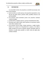 Referāts 'Ielu infrastruktūras pieejamības cilvēkiem ar īpašām vajadzībām analīze', 42.