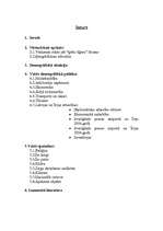 Referāts 'Īrija ', 2.