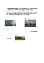 Referāts 'Īrija ', 16.