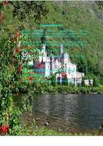 Referāts 'Īrija ', 17.