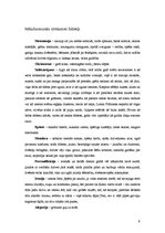 Referāts 'Brāļu Kaudzīšu romāna "Mērnieku laiki" analīze', 9.