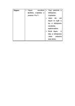 Referāts 'Neverbālā komunikācija', 7.