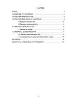 Referāts 'Atkritumi un to radītais piesārņojums', 2.