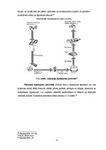 Referāts 'Atkritumi un to radītais piesārņojums', 11.
