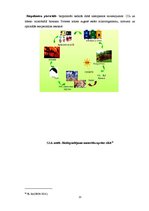 Referāts 'Atkritumi un to radītais piesārņojums', 13.