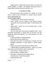 Referāts 'Atkritumi un to radītais piesārņojums', 15.