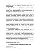 Referāts 'Atkritumi un to radītais piesārņojums', 17.