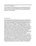 Referāts 'Apraksts par Brīvības pieminekli', 3.