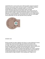 Referāts 'Apraksts par Brīvības pieminekli', 4.