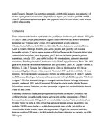 Referāts 'Apraksts par Brīvības pieminekli', 5.