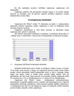 Referāts 'Motivācijas politika uzņēmumā', 5.