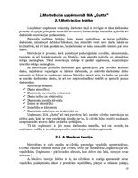 Referāts 'Motivācijas politika uzņēmumā', 10.