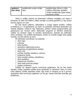 Referāts 'Motivācijas politika uzņēmumā', 17.