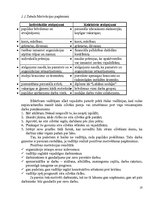 Referāts 'Motivācijas politika uzņēmumā', 18.