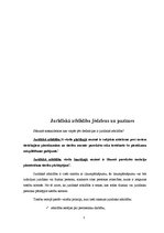 Referāts 'Juridiskā atbildība', 3.