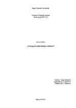 Referāts 'Transporta informācijas sistēmas', 2.