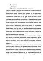 Referāts 'Grafoloģija', 3.