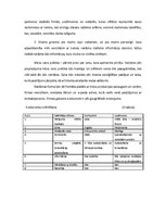 Biznesa plāns 'Laimīšu, suvenīru, laimes cepumiņu ražošana', 5.