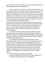 Referāts 'Dzīvnieku tiesību aizsardzība', 13.