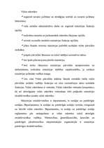 Referāts 'Ārlietu ministrijas kompetence', 7.