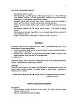 Konspekts 'Starptautiskā politika', 3.