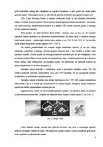 Referāts 'Operāciju lampas', 6.