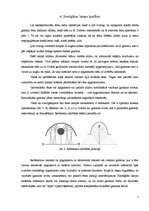Referāts 'Operāciju lampas', 7.