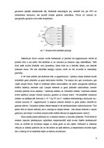 Referāts 'Operāciju lampas', 9.