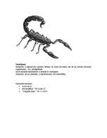 Konspekts 'Skorpioni', 3.