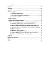 Referāts 'Neformālā izglītība jauniešu organizācijās', 3.
