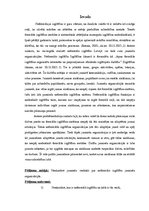 Referāts 'Neformālā izglītība jauniešu organizācijās', 6.