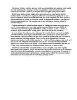 Prakses atskaite 'Fibrobetons', 1.