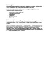 Prakses atskaite 'Fibrobetons', 4.