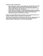 Prakses atskaite 'Fibrobetons', 5.