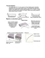 Prakses atskaite 'Fibrobetons', 6.