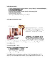 Prakses atskaite 'Fibrobetons', 7.