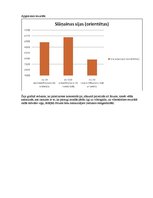 Prakses atskaite 'Fibrobetons', 30.