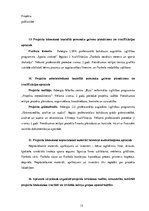 Konspekts 'Projekts sporta zāles renovācijai', 12.