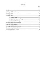 Referāts 'Līzings, tā veidi un pielietojums', 2.