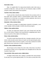 Eseja 'Situāciju analīze no kultūras vērtību skatupunktiem', 4.