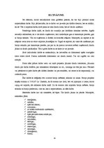 Referāts 'Lietvedības tehniskie līdzekļi', 34.