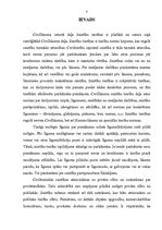 Referāts 'Saistību tiesību jēdziens un attīstība', 3.