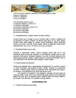 Referāts 'Itālija', 13.