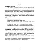 Referāts 'Jāņu nakts tradīcijas', 5.