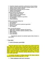 Referāts 'Biznesa plāns', 3.